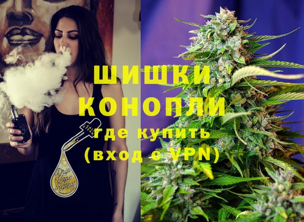 сатива Алексин